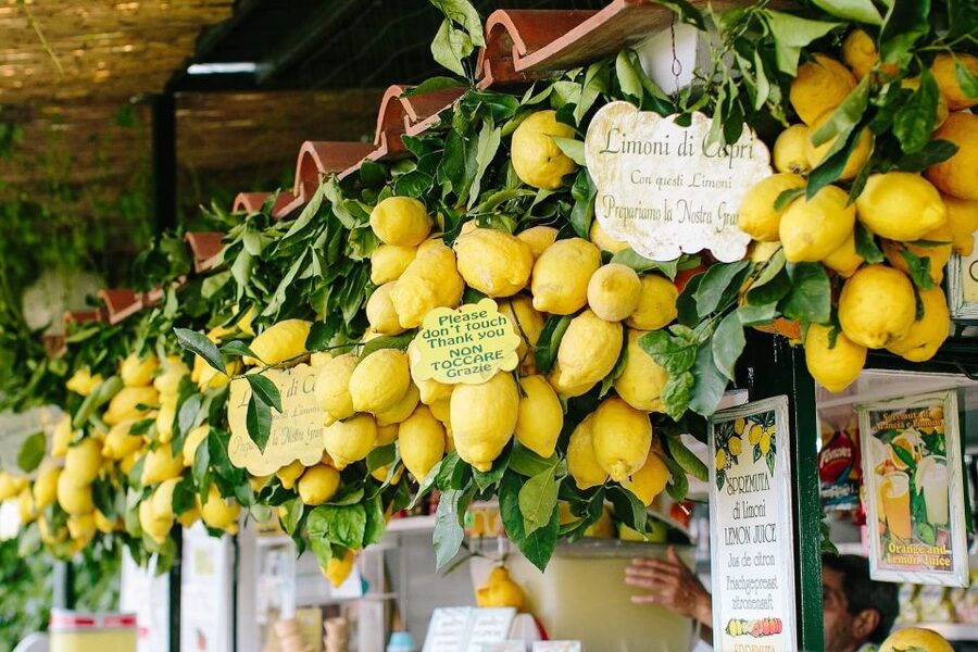 From Positano: Sorrento Coast & Capri Full-Day Trip by Boat - Blue Grotto: what you get, what you do not, and how to handle it