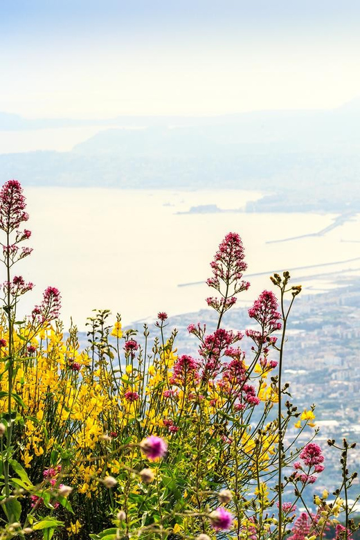 From Salerno_Pompeii&Vesuvius - The drive down: quick reset on the way to Pompeii
