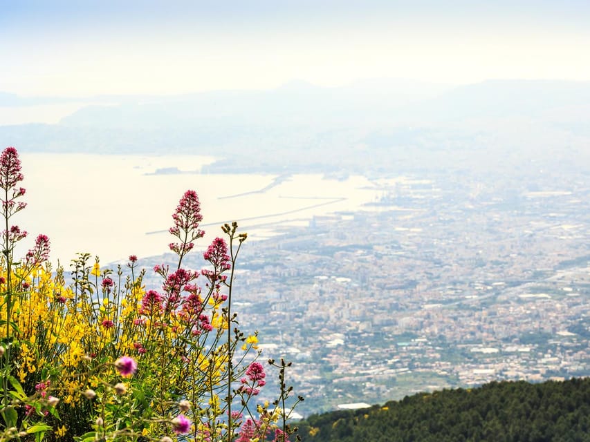 From Salerno_Pompeii&Vesuvius - Who this tour suits best (and who should pick something else)