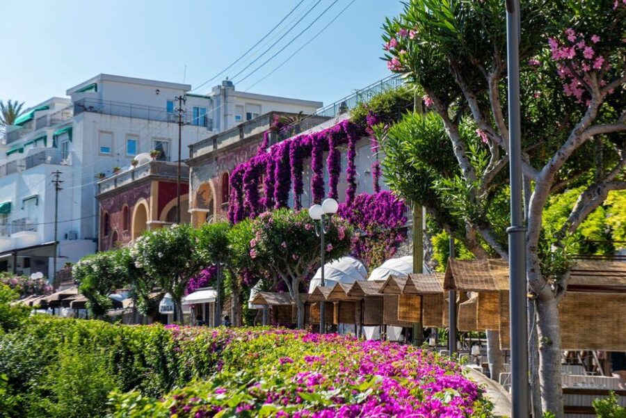 From Sorrento: Capri, Anacapri, & Blue Grotto Full-Day Trip - Value check: what about $192.58 actually buys you