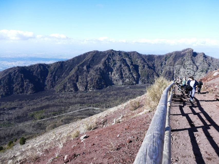 From Sorrento: Day Tour to Pompeii Ruins and Mount Vesuvius - The Pompeii guide makes or breaks the day