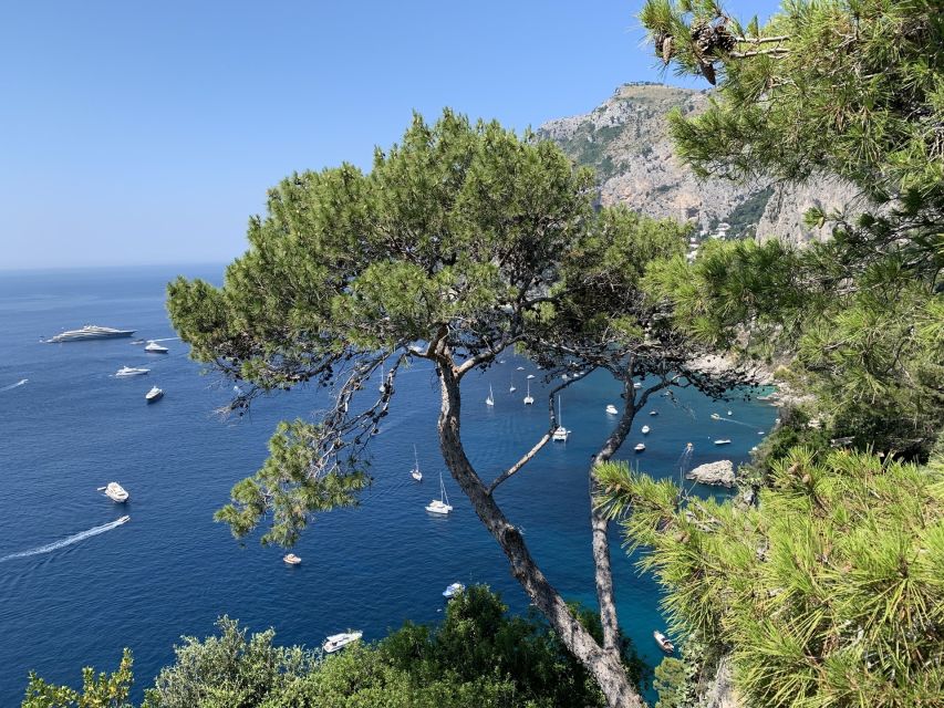 From Sorrento: Day Trip to Capri & Anacapri with Blue Grotto - Key points before you go