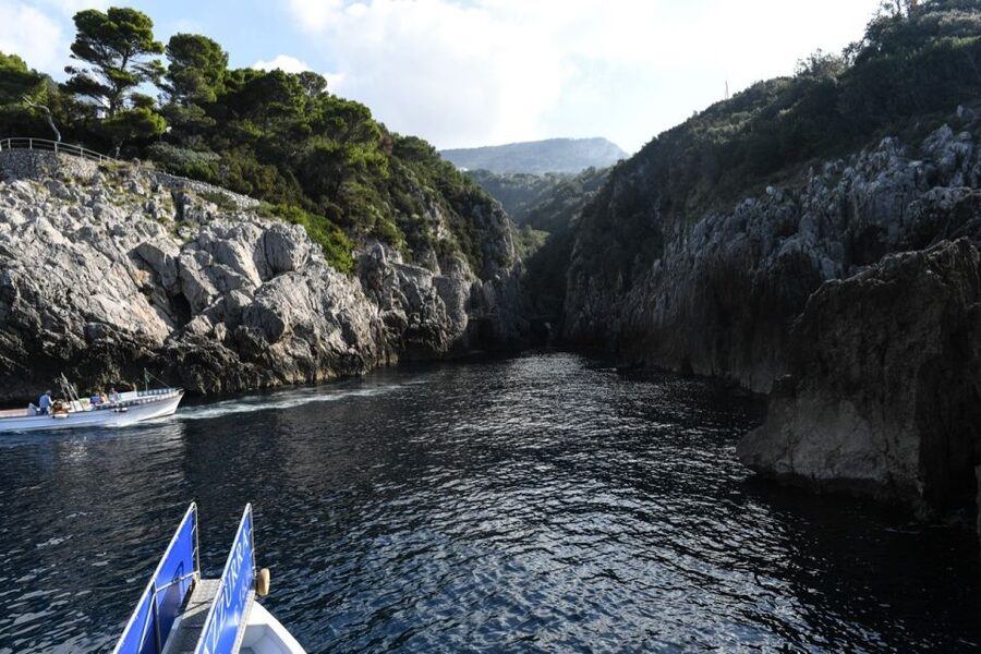 From Sorrento: Day Trip to Capri with Blue Grotto - Price and Value: What You Pay For, What You Still Need
