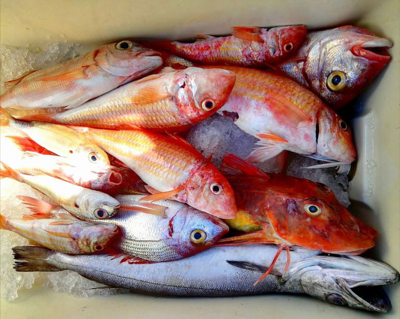 From Sorrento: Fishing in Capri with Lunch - Capri fishing from Sorrento, plus lunch and island time
