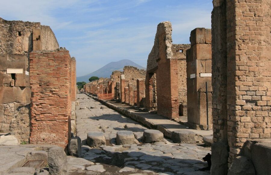 From Sorrento: Herculaneum and Pompeii Group Excursion - The Big Idea: Pompeii and Ercolano in One Long Day