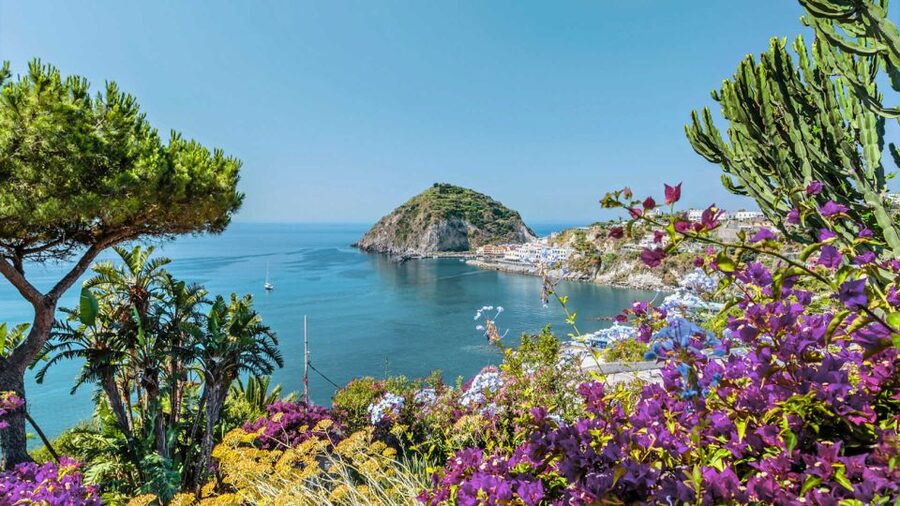 From Sorrento: Ischia and Procida Boat Tour - Procida Time on Land: How to Use 1 to 2 Hours Wisely