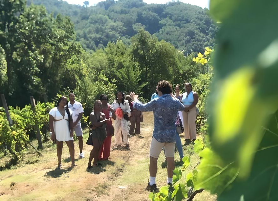 From Sorrento & Naples: Cortecorbo Wine & Cooking Experience - Antonia’s kitchen lesson: pizza and maccaronara in the wood-oven world