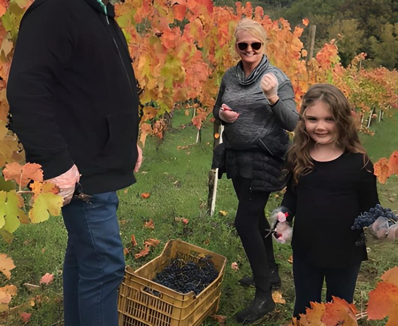 From Sorrento & Naples: Cortecorbo Wine & Cooking Experience - Should you book Cortecorbo from Sorrento or Naples?