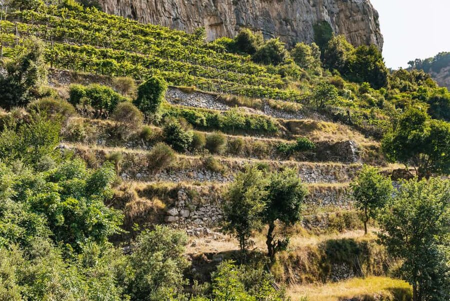 From Sorrento: Path of the Gods Guided Hike with Transfers - The guide’s job: pace, options, and local storytelling