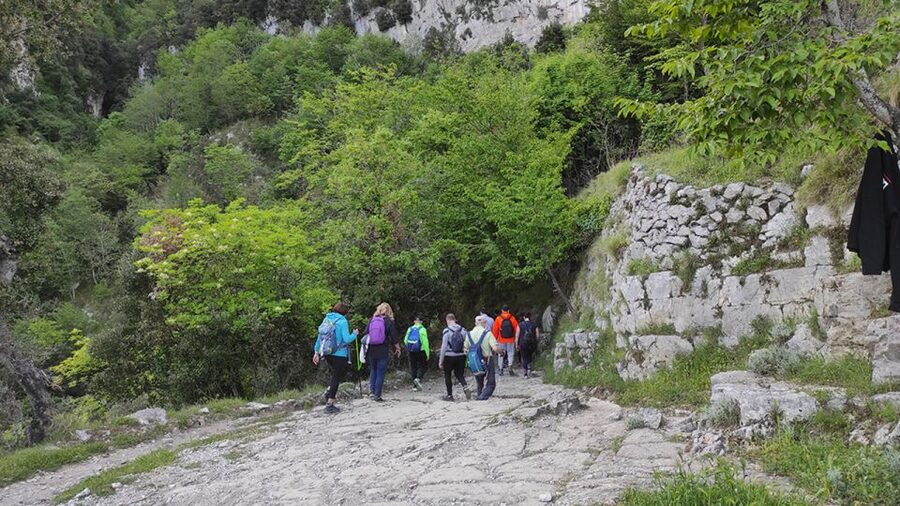From Sorrento: Path of the Gods Hike with Tasting Stop - Price And Value: Is It Worth $129.14?
