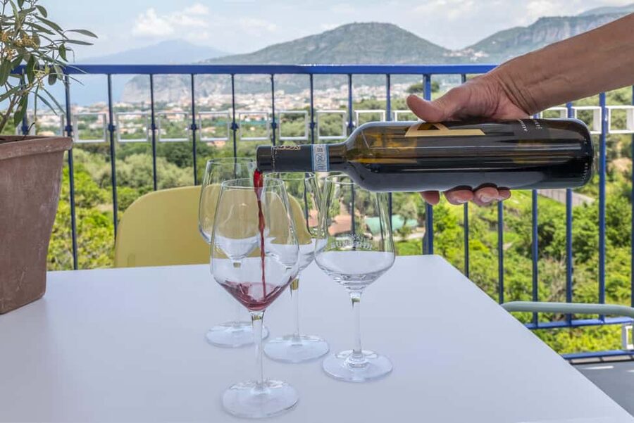 From Sorrento: Pizza-Making Class w/ View of Mount Vesuvius - Quick checklist for a smooth pizza-making session