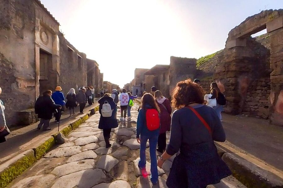 From Sorrento: Pompeii and Vesuvius Guided Tour with Lunch - Should You Book This Sorrento Pompeii and Vesuvius Tour?