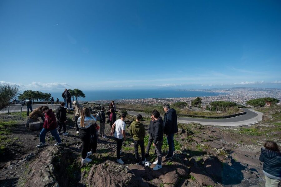 From Sorrento: Pompeii and Vesuvius Guided Tour with Lunch - Who This Tour Suits Best (and Who Might Want to Choose Another Option)