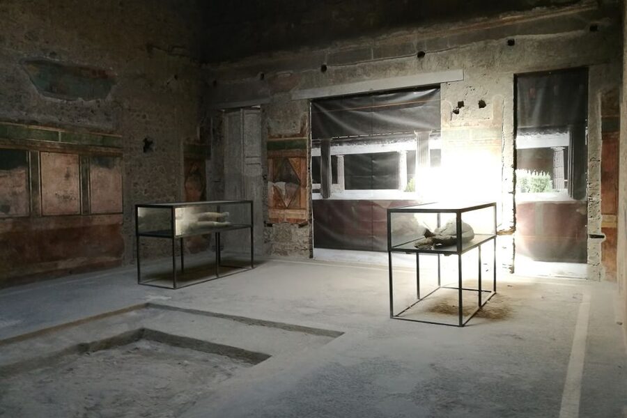 From Sorrento: Pompeii and Vesuvius Tour - Pompeii logistics that can save your day