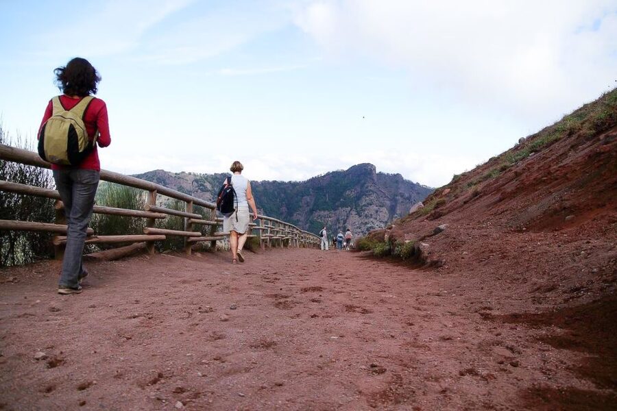 From Sorrento: Pompeii and Vesuvius Tour - Timing, pressure, and the lunch question (what you should know)