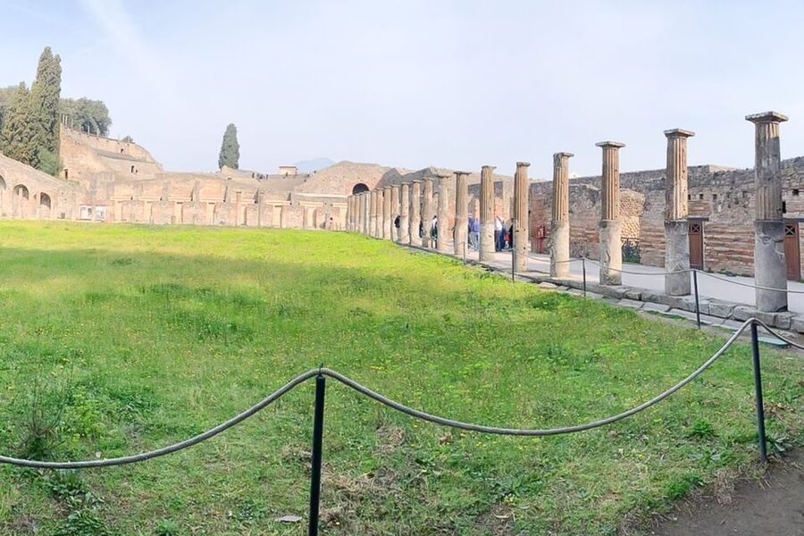 From Sorrento: Pompeii and Vesuvius Tour - Price and value: what $135.94 is really buying