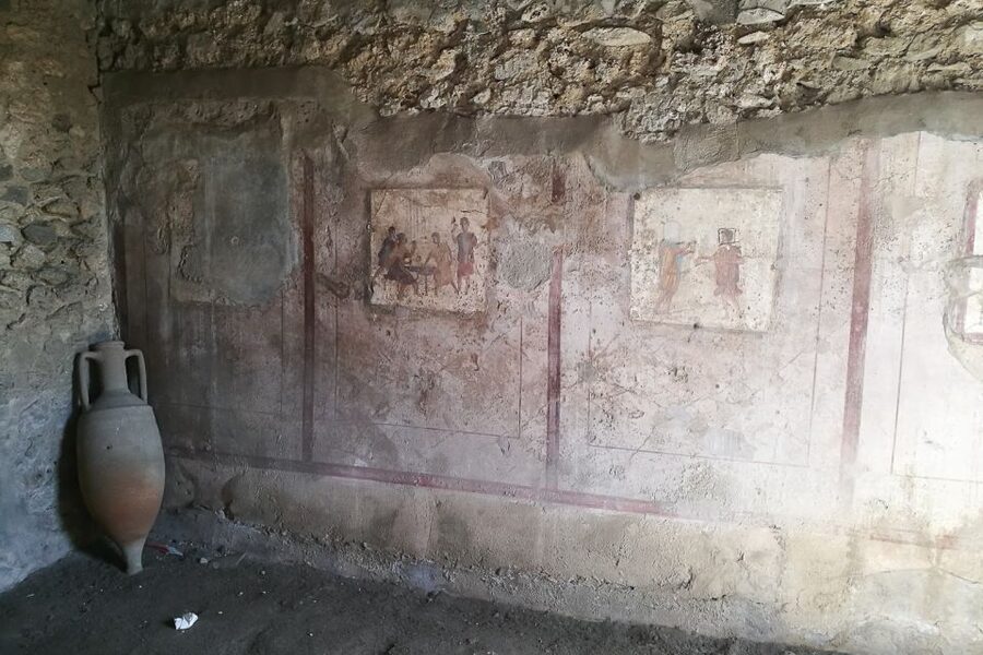 From Sorrento: Pompeii and Vesuvius Tour - Who should book this Pompeii and Vesuvius tour