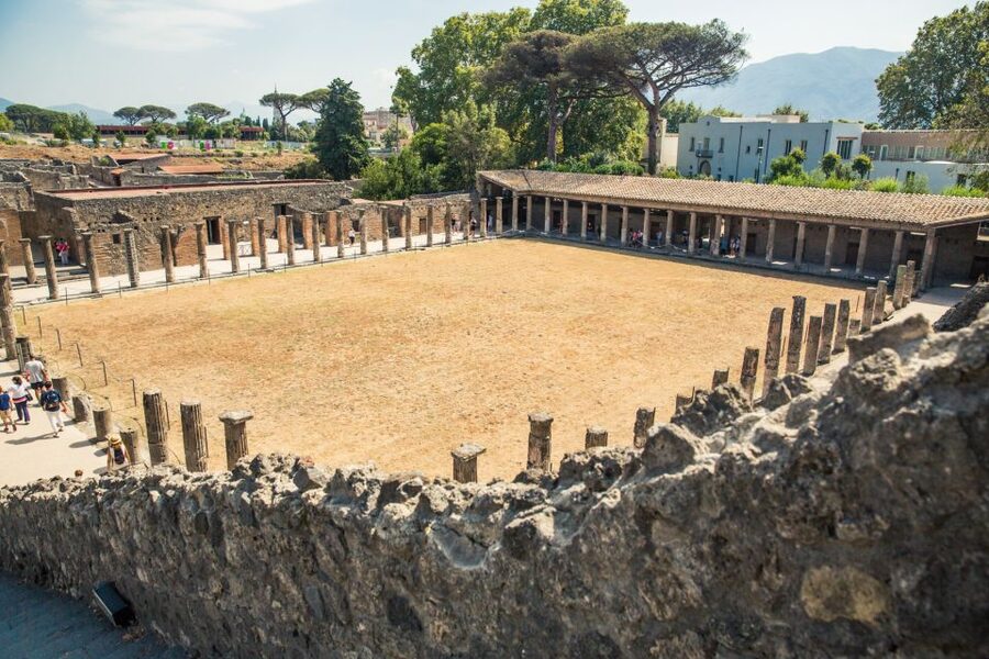 From Sorrento: Pompeii Half-Day Skip-the-Line Tour - Pompeii’s 79 A.D. story, and why the ruins feel human