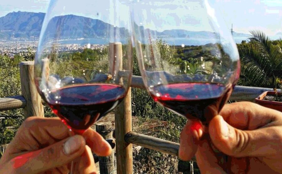 From Sorrento: Pompeii & Mt. Vesuvius Tour with Lunch & Wine - Lunch and wine tasting at a vineyard near the action