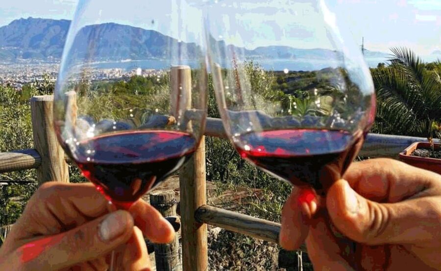 From Sorrento: Skip-the-Line Pompeii Tour and Vineyard Lunch - Getting From Sorrento: Pickup Rhythm and Day-Time Reality