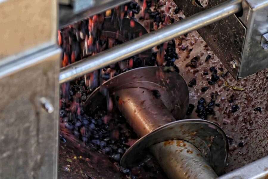 From Sorrento: Winery Tour, Tasting & Lunch - Private Transfer to the Winery, Then the Vineyard Tour Reality Check