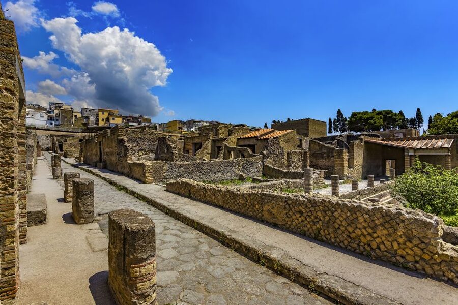 Herculaneum 2-Hour Private Guided Tour - How a Private Guide Helps Your Group, Especially With Kids