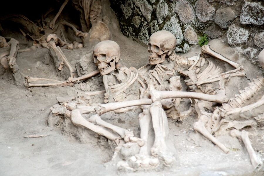 Herculaneum: 2-Hour Skip-the-Line Tour from Sorrento - Price and Value: Is $86.10 a Smart Spend?