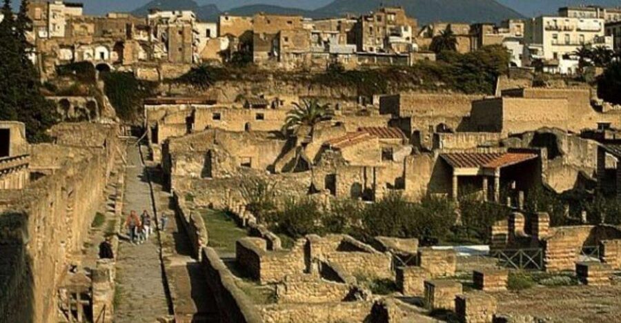 Herculaneum: 2hour Shared Guided Tour + entry tickets - Key moments worth your attention