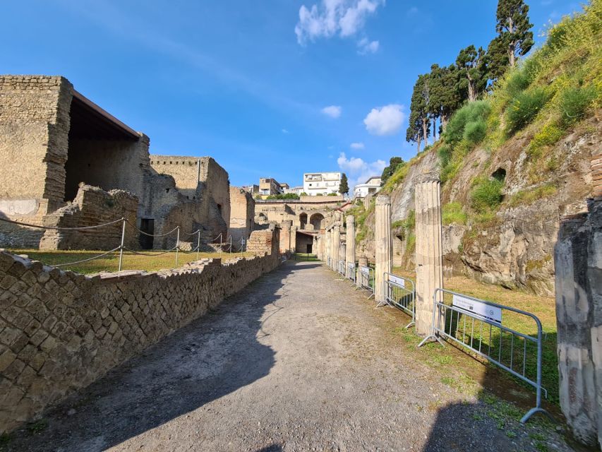 Herculaneum Archaeological Park smart Audio Tour - What you will see: domus, spa, and gym sections