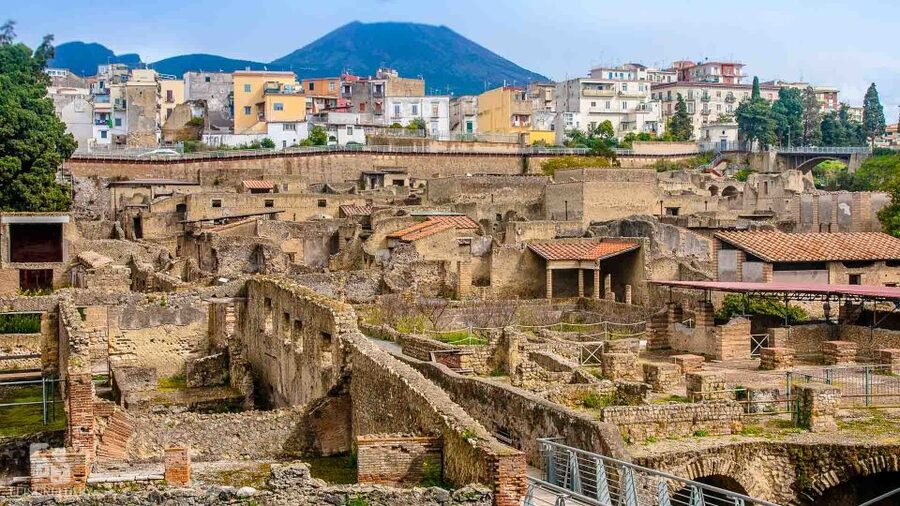 Herculaneum: Half-Day Guided Trip from Naples - Price and Value: Is $96.29 a Fair Deal?