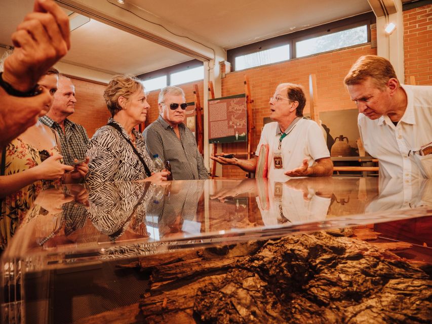 Herculaneum: Private Walking Tour with Archeologist Guide - Key highlights to look for on this Herculaneum private walk