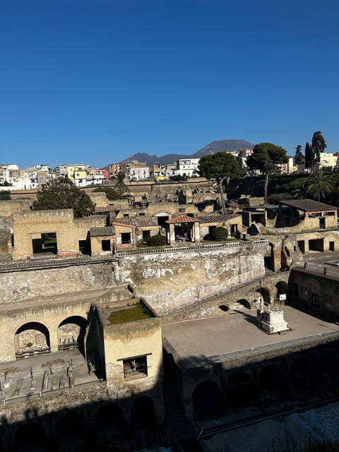 Herculaneum - Small Group Tour (admission included) - Who This Tour Fits Best