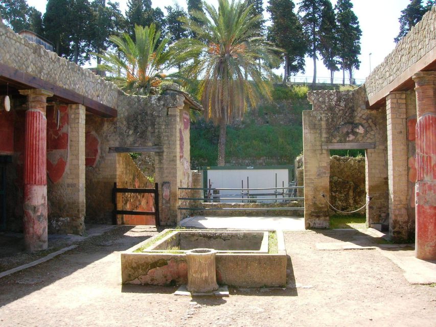 Herculaneum with an Archaelogical Guide & Ticket - The Herculaneum Ruins Walk, From Greek Origins to Lava Preservation