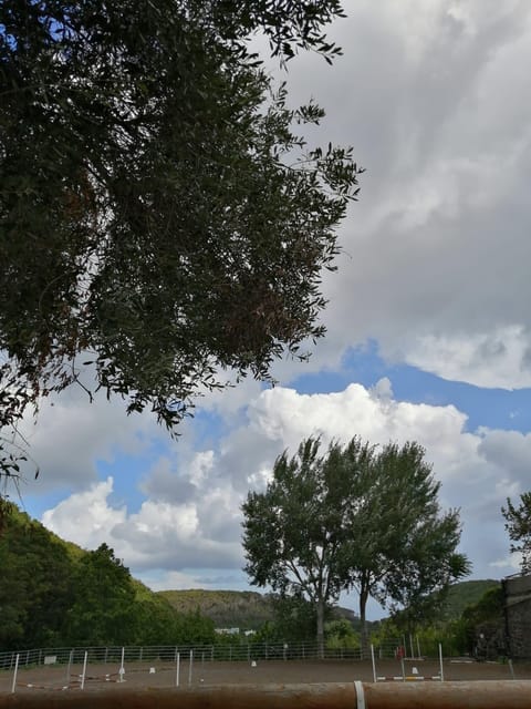 Horseback excursion in the Maddalena woods - Mount Rotaro views and the volcanic story underfoot