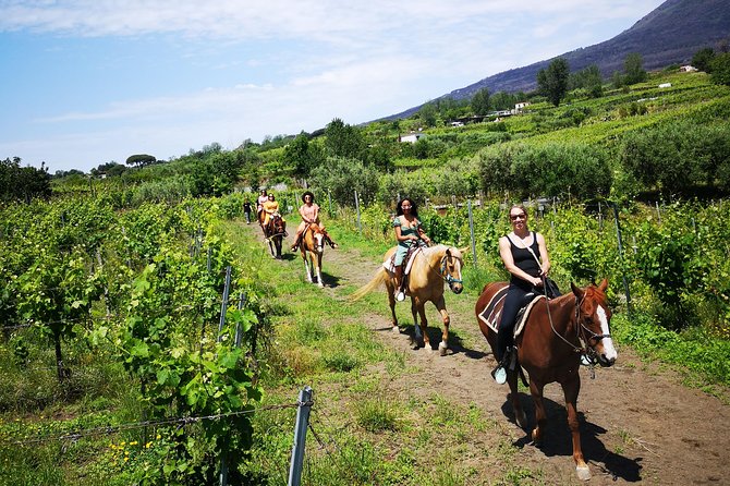 Horseback Riding on Vesuvius - Why Ride Vesuvius This Way, Not From the Crater Trail