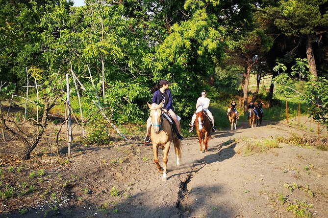 Horseback Riding on Vesuvius - Price and Value: Is This Worth $78.64?