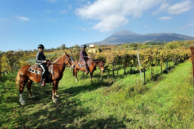 Horseback Riding on Vesuvius - The 500-Meter Vesuvius National Park Stop: What That Altitude Means