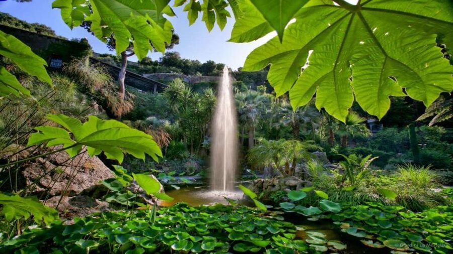 Ischia and Mortella Gardens Full-Day Tour from Sorrento - Sorrento to Ischia by hydrofoil: the day starts on the water