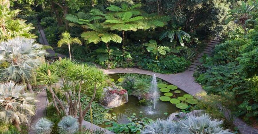 Ischia and Mortella Gardens Full-Day Tour from Sorrento - La Mortella Gardens in Forio: Sir William Walton’s volcanic-rock masterpiece