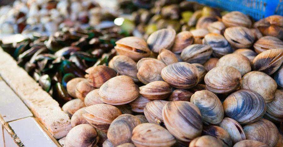 Ischia: Market Tour & Cooking Class at a Local's Home - Why an Ischia Market and Home Kitchen Beats a Standard Class