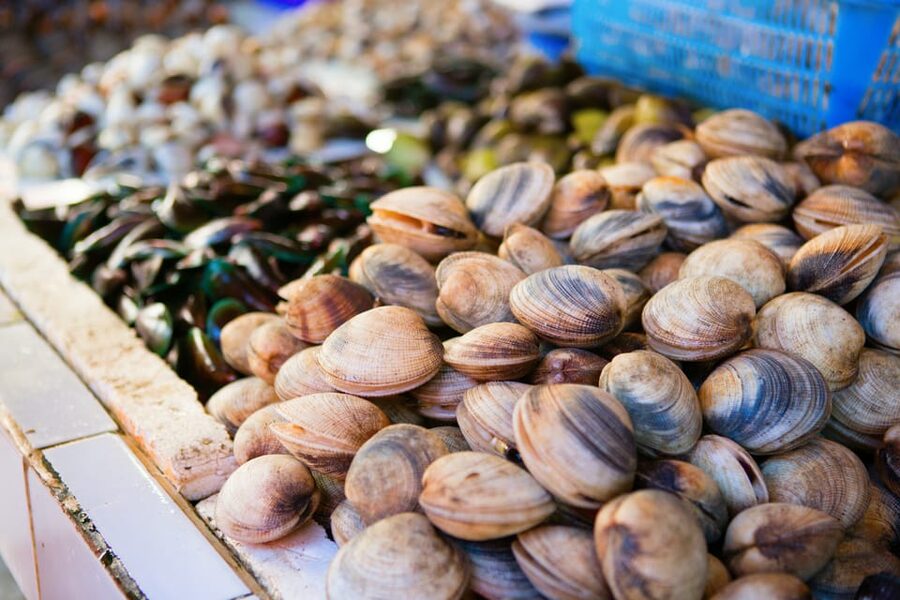 Ischia: Market Tour & Cooking Class at a Local's Home - Cooking with a Certified Home Cook: Three Recipes You Can Actually Repeat