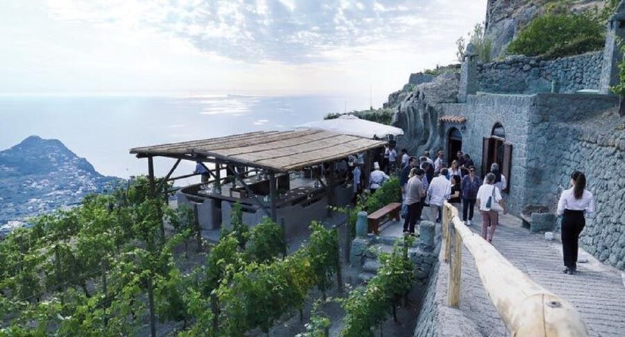 Ischia: Vineyard Tour & Wine Tasting Experience w/ Transfers - Key Points at a Glance