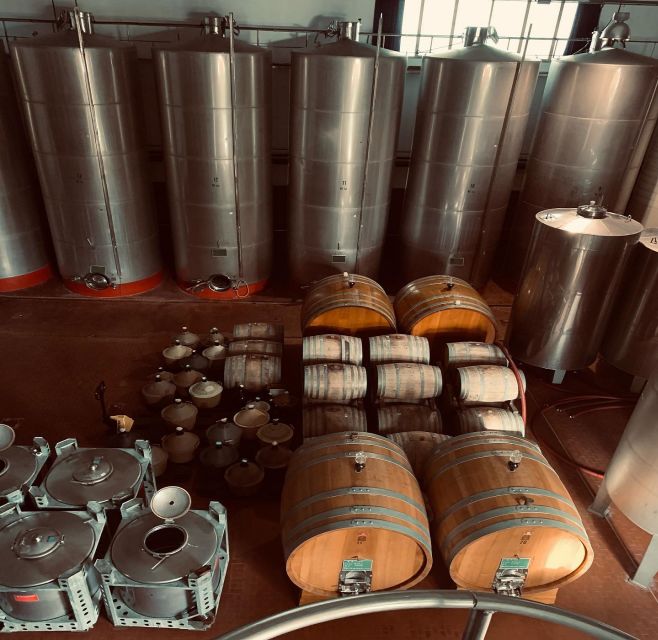 Ischia: Vineyard Tour & Wine Tasting Experience w/ Transfers - Why This Ischia Wine Tasting Feels Worth Your Time