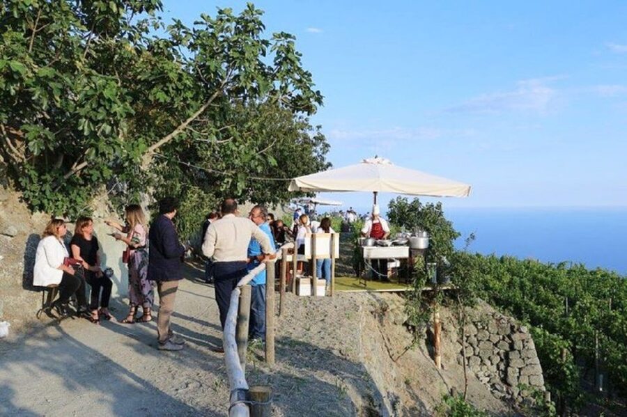 Ischia: Vineyard Tour & Wine Tasting Experience w/ Transfers - Timing and Pacing: What the Flow Feels Like in Real Life