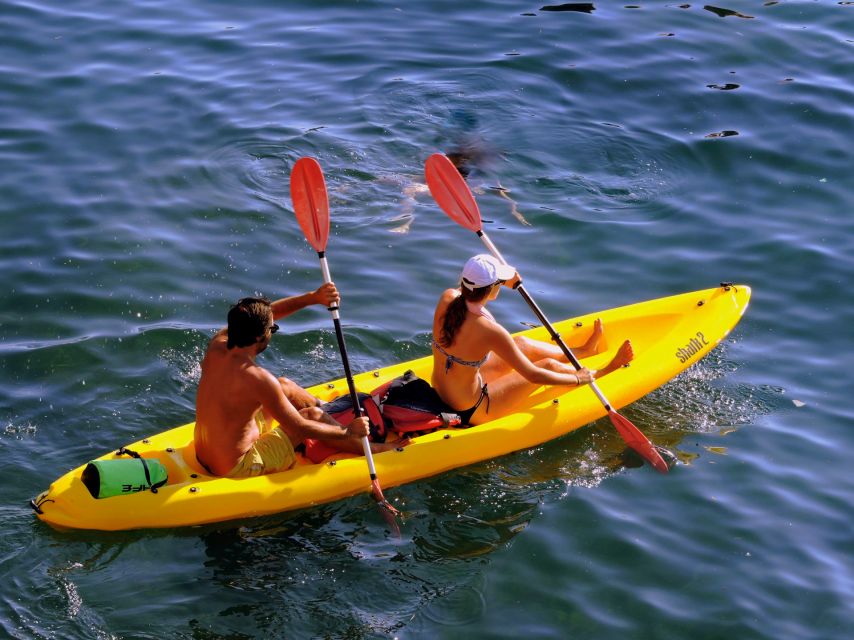 Kayak experience - Your Swimming Stop: The Cool-Off Moment