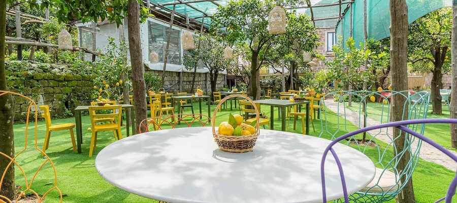 Lemon Tour with Lunch/Dinner - Lemon Tour with Lunch or Dinner on the Sorrento Peninsula