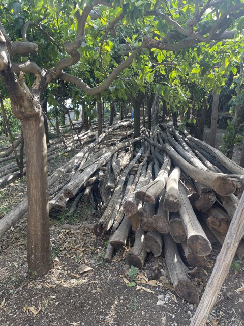 Maiori: Amalfi Coast Path of Lemons Day Trip with Tastings - Price and value: what $59 really buys you, plus the €15 farm fee