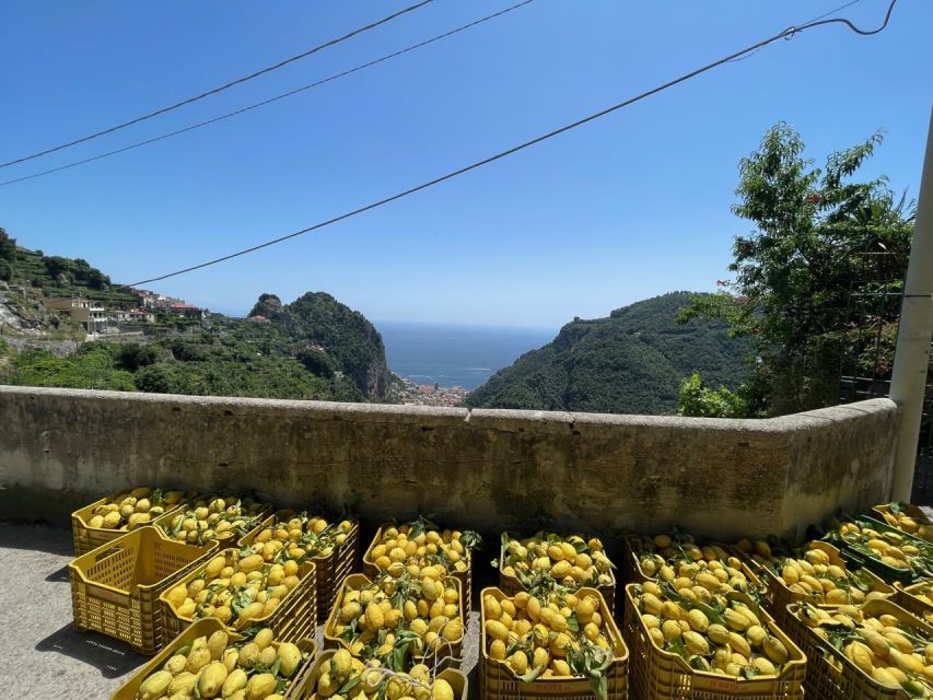 Maiori: Amalfi Coast Path of Lemons Day Trip with Tastings - Pace, comfort, and who should skip this walk