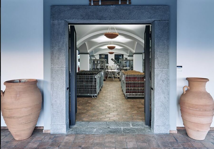 Mount Vesuvius: Vineyard Tour with Wine Tasting and Lunch - Wine tasting on an active-feeling volcano