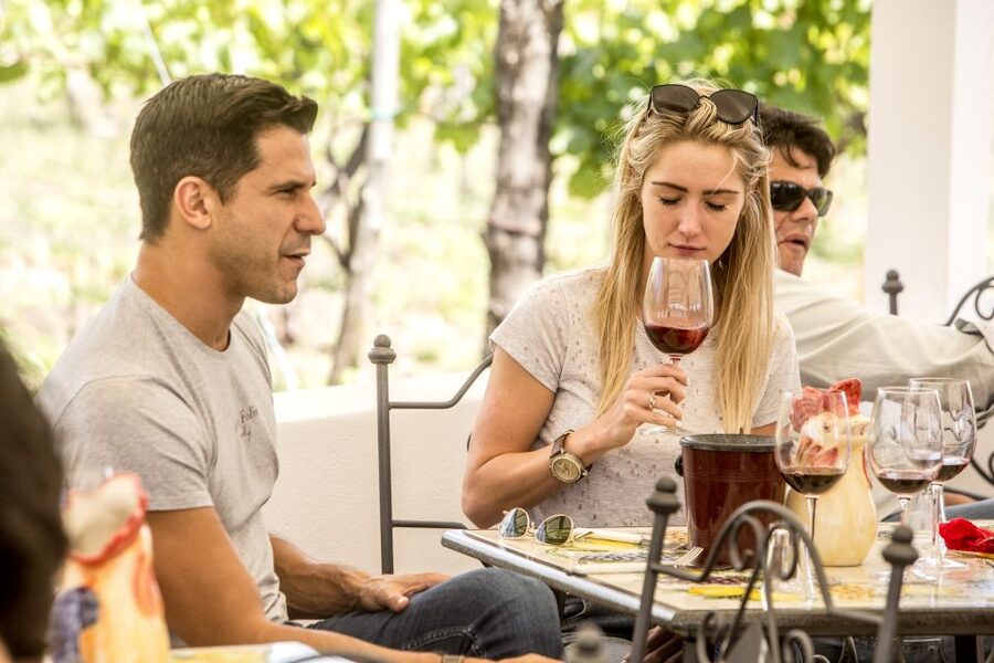 Mount Vesuvius: Vineyard Tour with Wine Tasting and Lunch - The view factor: Naples Bay, Sorrento direction, Capri on clear days